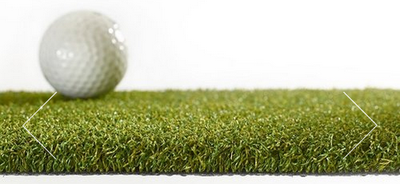 Pro Line Putting Green grass