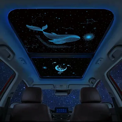 Luxury Starlights - Panroof Glass Glow Kit