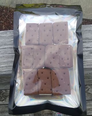 Ice Cream Sandwich