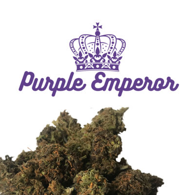 CBD Flower — Purple Emperor