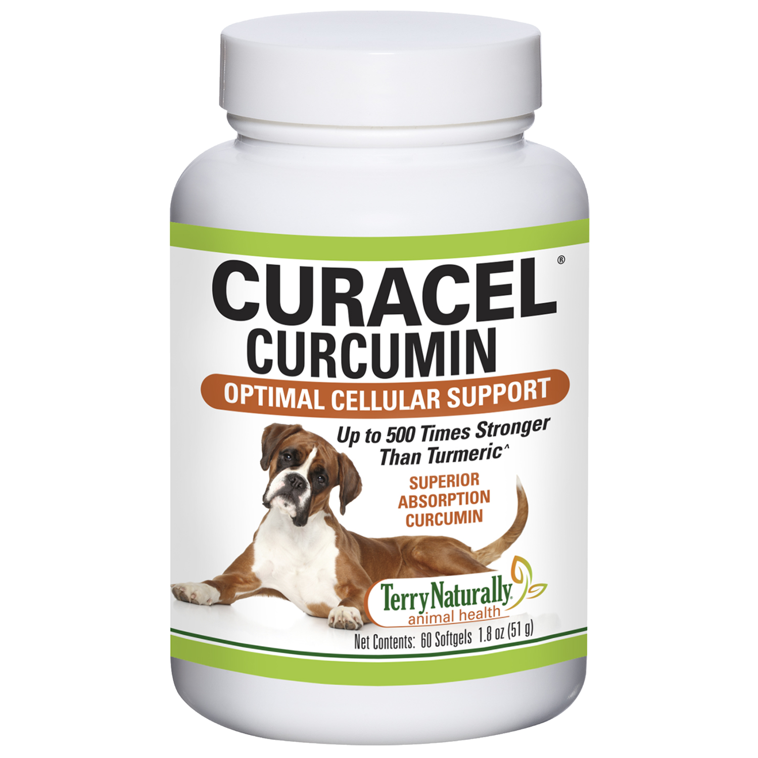 Curacel Curcumin 60 softgels Terry Naturally