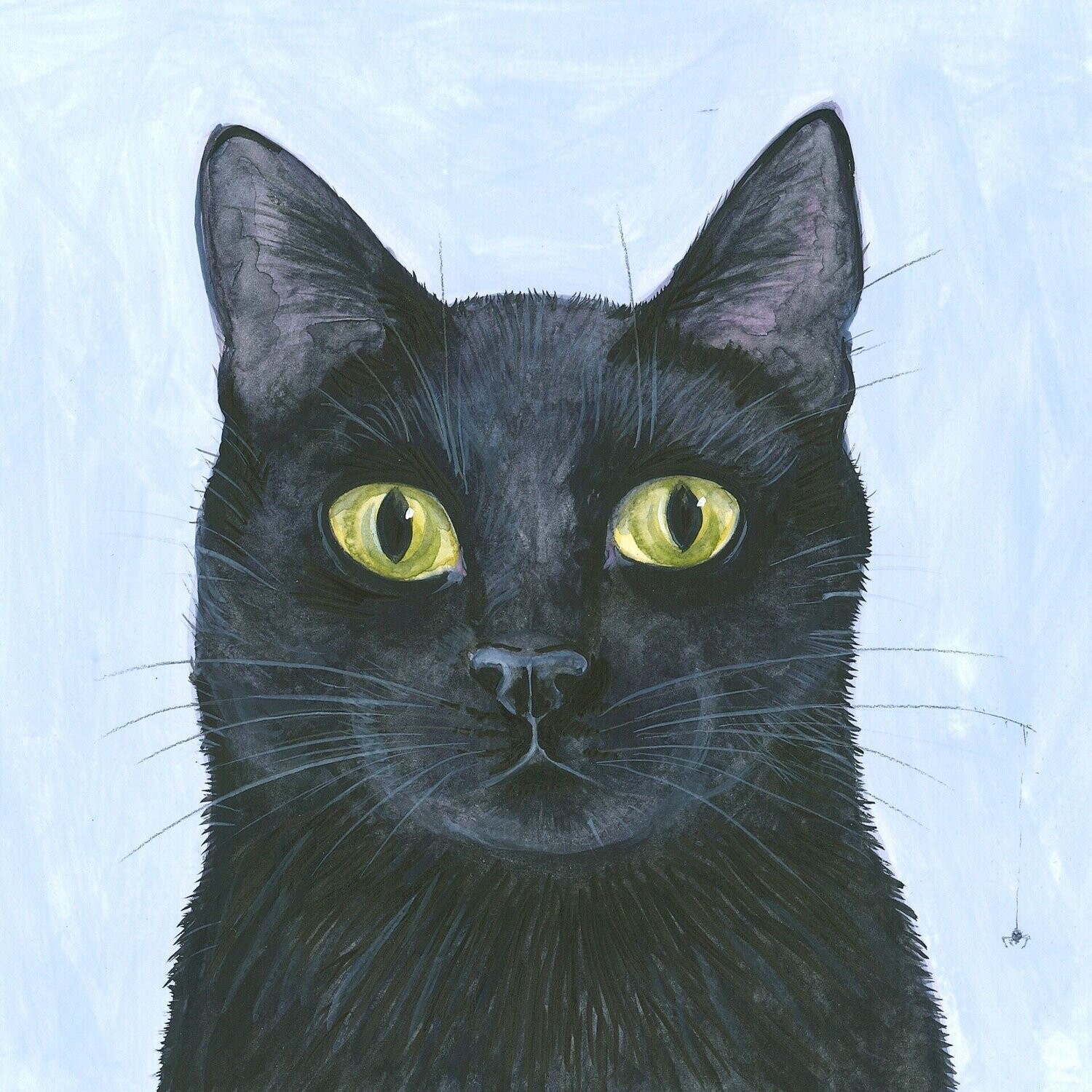 La Moustache Du Chat La Moustache Du Chat