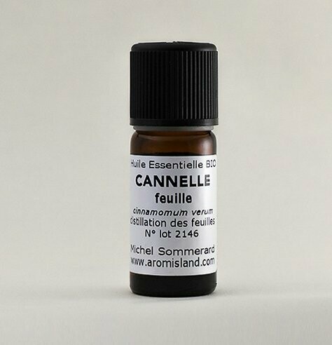 Cannelle (Cinnamomum verum)
