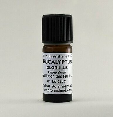 EUCALYPTUS GLOBULUS BIO Huile essentielle de eucalyptus globulus compactum (KININY FOTSY)