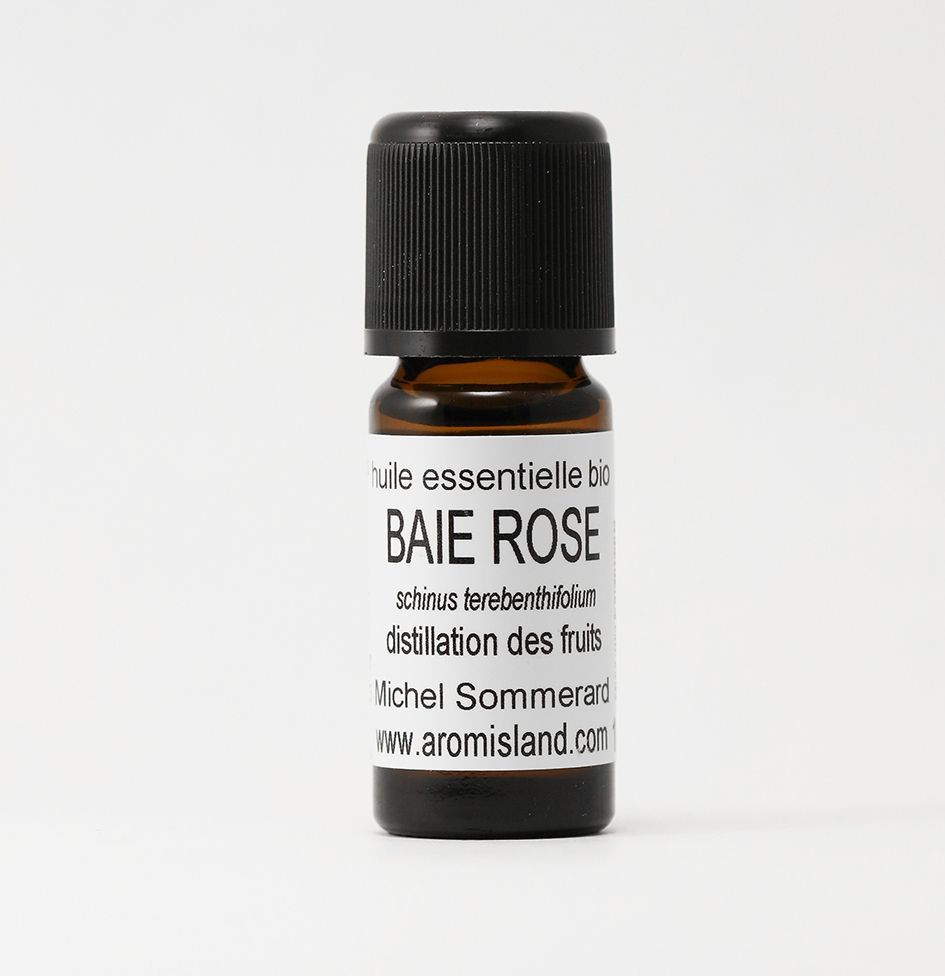 BAIE ROSE FRUITS BIO "shinus terebenthifolius"