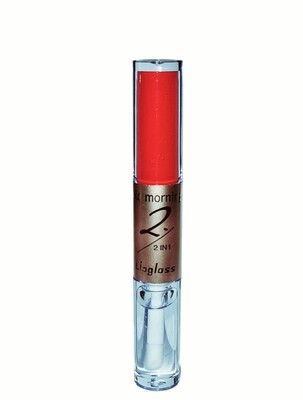 2in1 Lipstick and Gloss