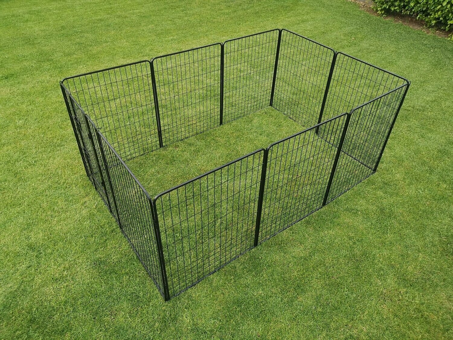 Robuuste kippenren 100XXL (800 cm omtrek)