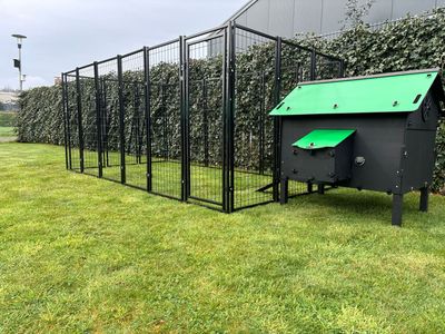 Grote kippenren  350 x 180 cm. past op Pluverdi kippenhokken