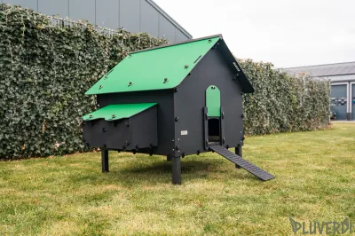 Pluverdi kippenhok Brussels (12-24 kippen).