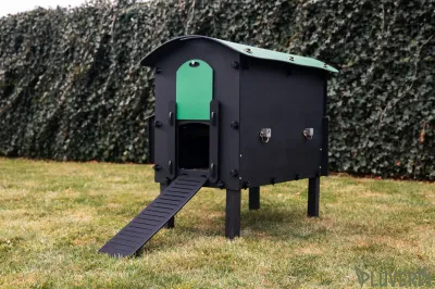NEW! Pluverdi kippenhok Amsterdam met klep achterzijde! (3-6 kippen)