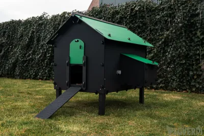 Pluverdi kippenhok Paris (8-16 kippen)