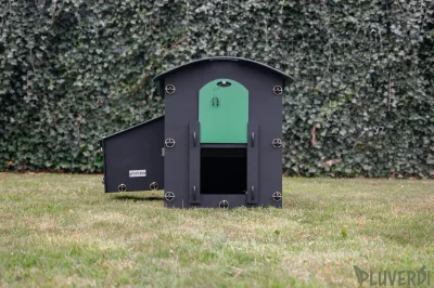 NEW! Pluverdi kippenhok Madrid nu met toegang achterkant voor schoonmaak (3-6 kippen)