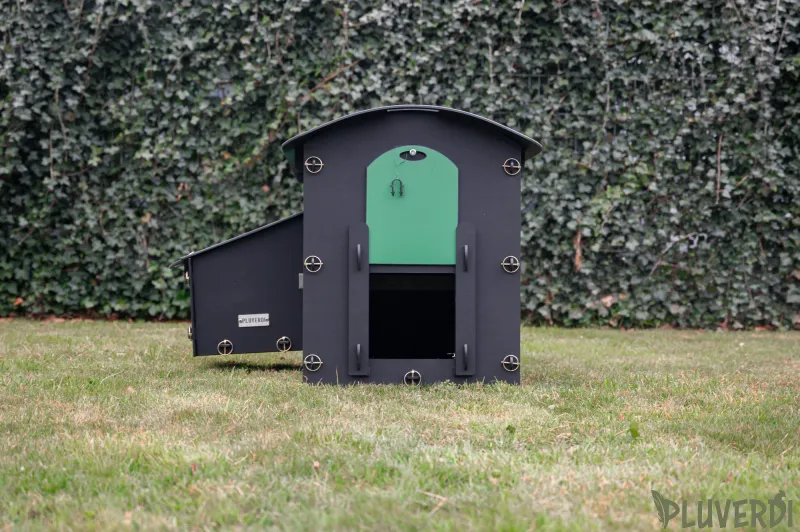 NEW! Pluverdi kippenhok Madrid nu met toegang achterkant voor schoonmaak (3-6 kippen)