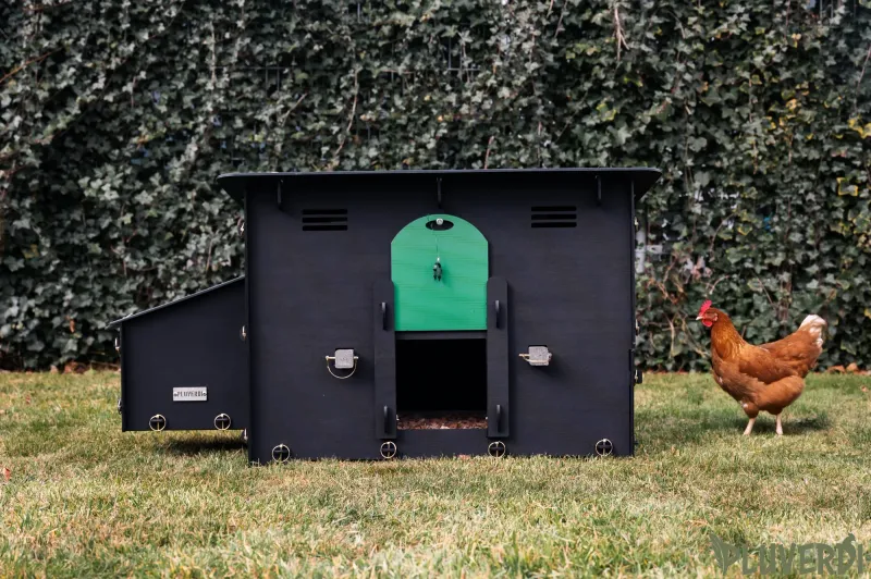 NEW! Pluverdi kippenhok Berlin nu met toegang zijkant voor schoonmaak (3-6 kippen)