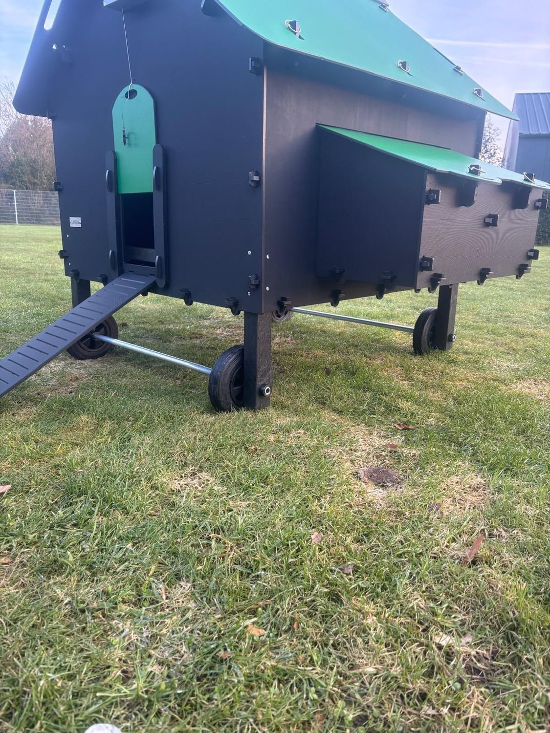 Wielenset kippenhok Brussels