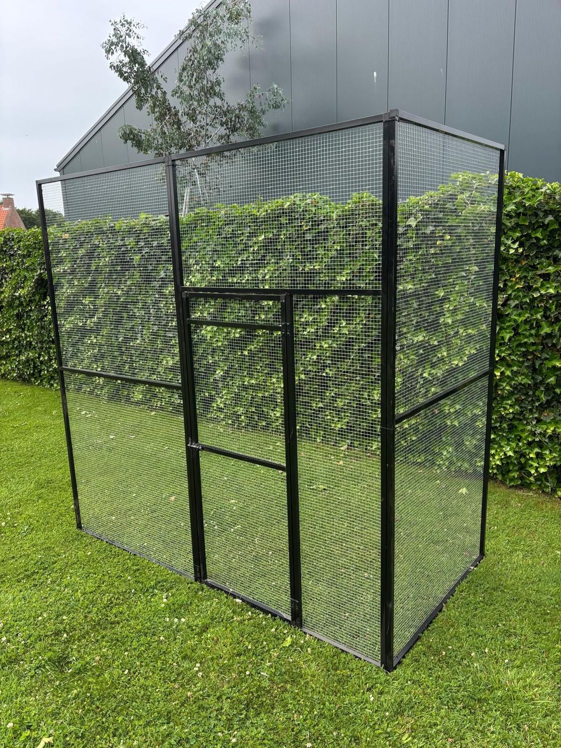Kippenren aluminium zwart 300x200x200 cm. Kippenren aluminium zwart 300x200x200 cm.