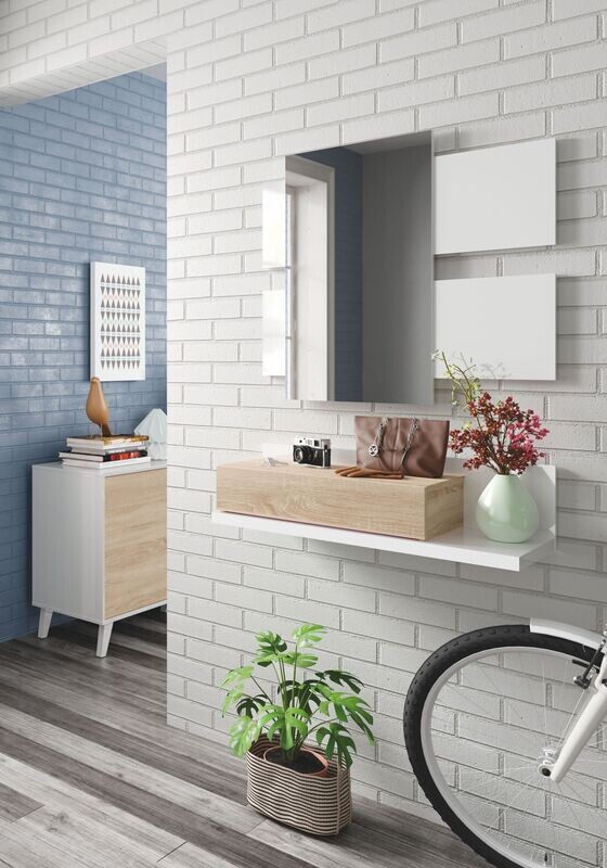 Recibidor 1 cajon y espejo MODERN roble canadian/blanco artik