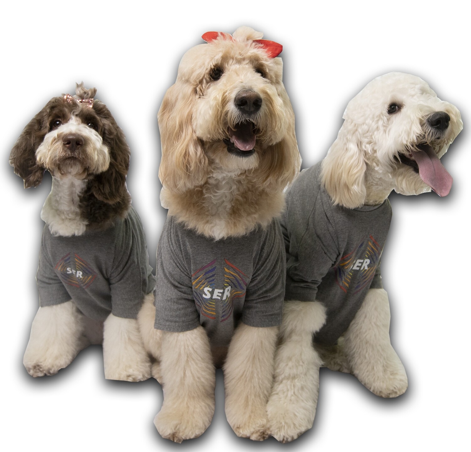 Camisa (Mascota) Camisa (Mascota)