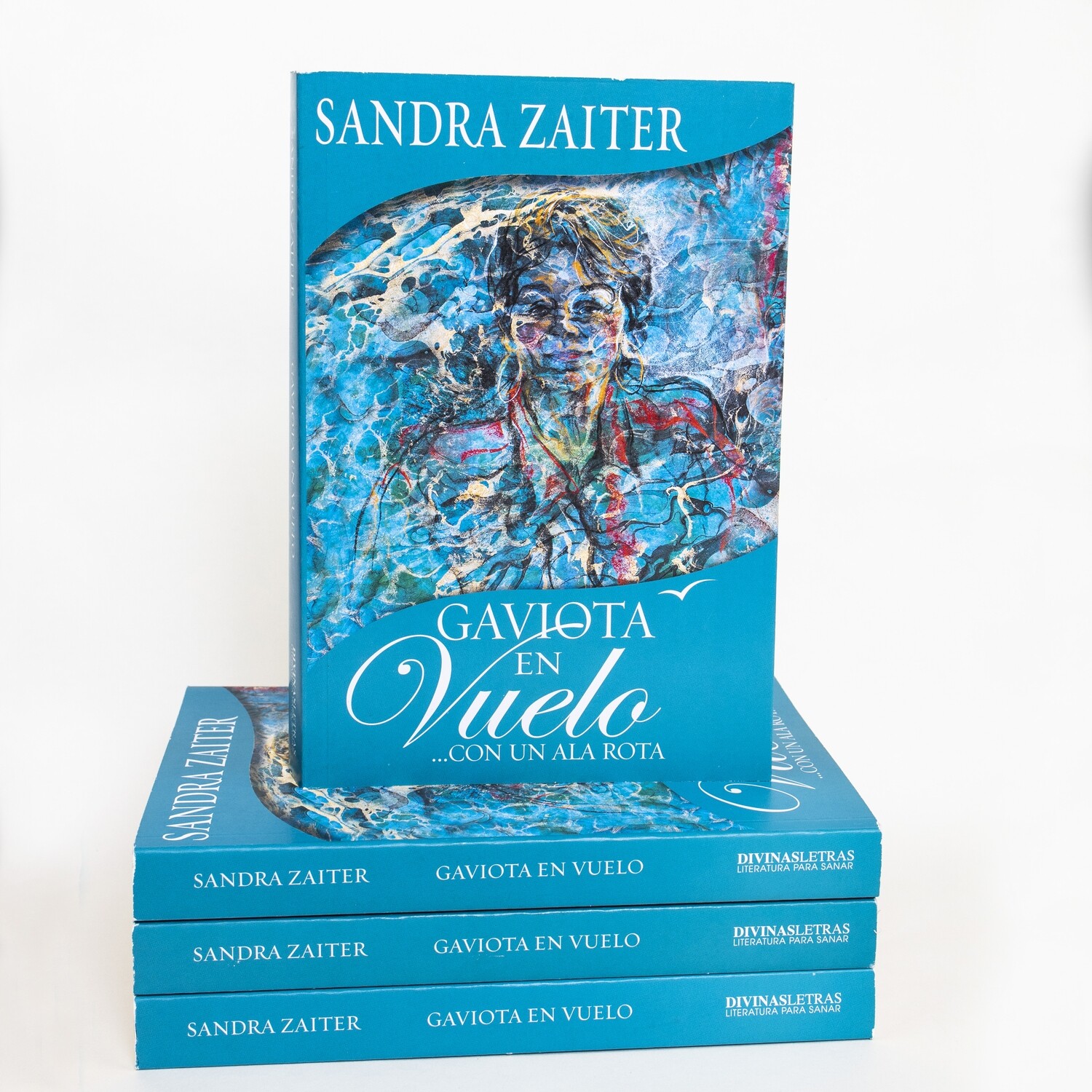 Libro de Sandra Zaiter Libro de Sandra Zaiter