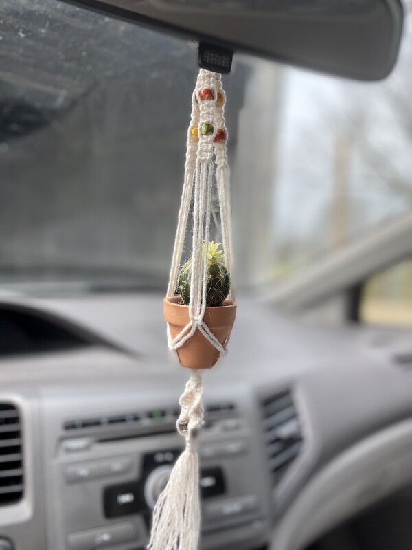 Car Mini Plant Hanger