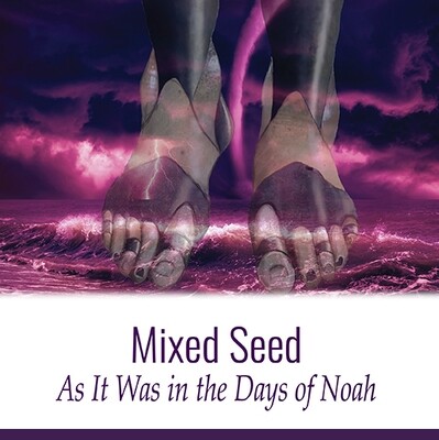 Mixed Seed: As It Was In The Days of Noah