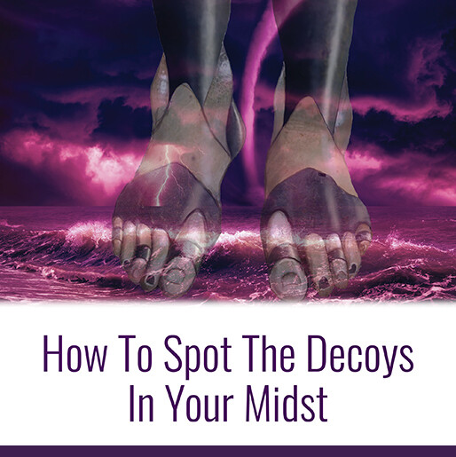 How To Spot The Decoys In Your Midst