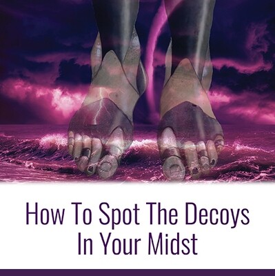 How To Spot The Decoys In Your Midst
