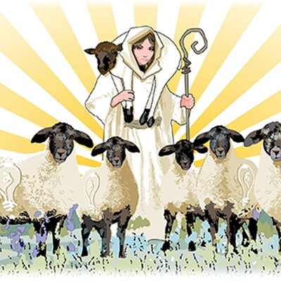 Idea Shepherding Series