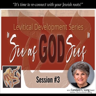 Session #3: The Levitical Disciplines