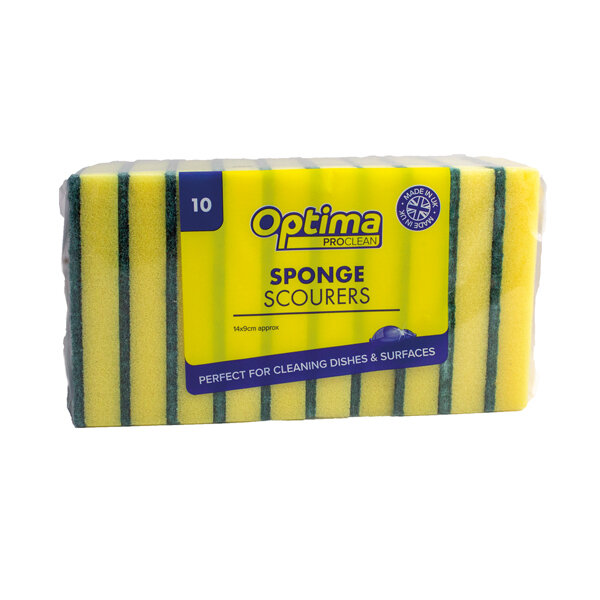 Large Catering Sponge