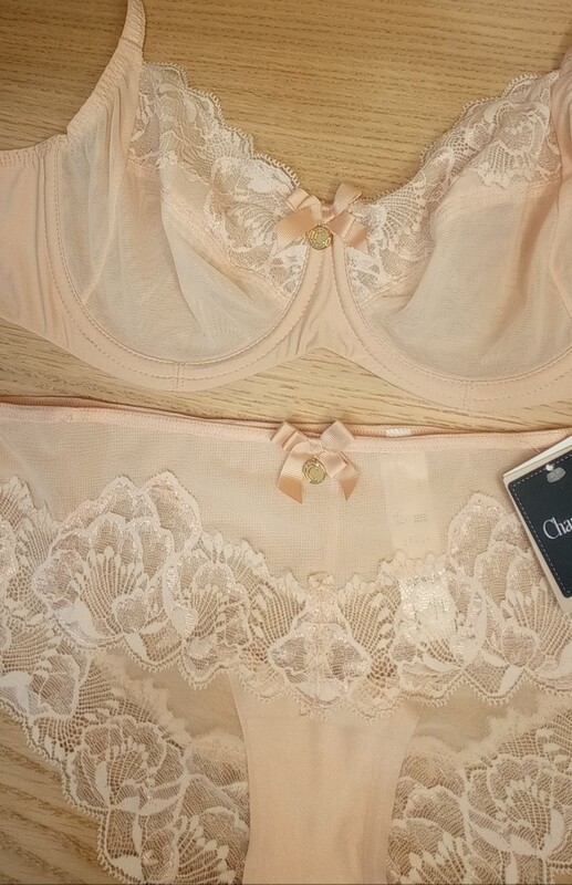 Sujetador Chantelle C67610-0L6 Lace skin