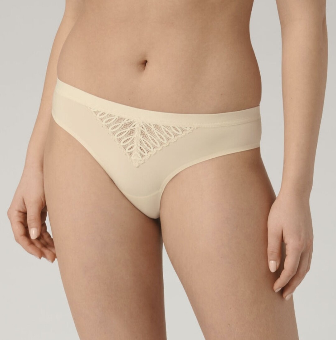 Braguita Triumph Aurora Spotlight brazilian
