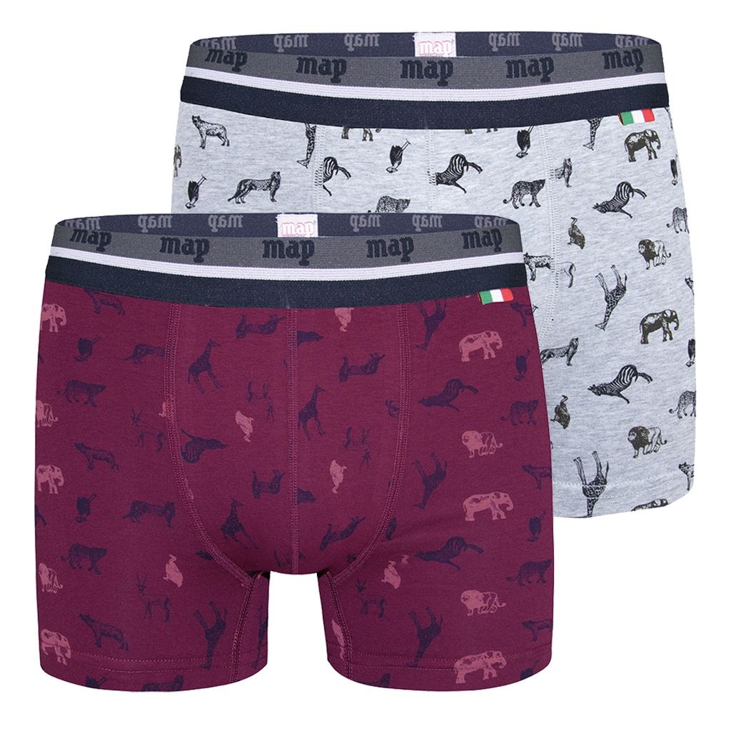 Pack 2 boxers Map 3208 ZOO