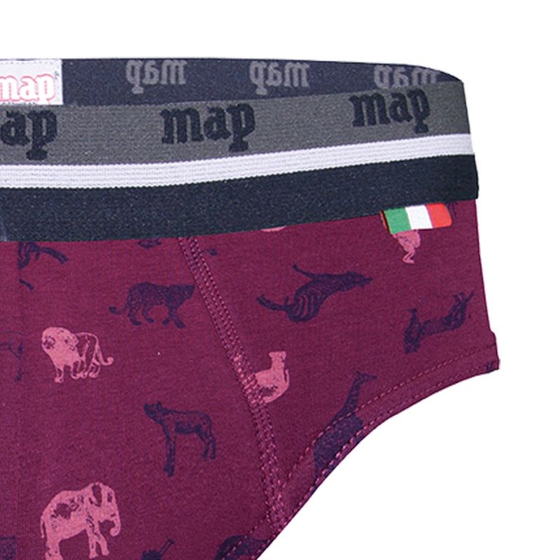 Pack 2 Slips Map 2208 ZOO