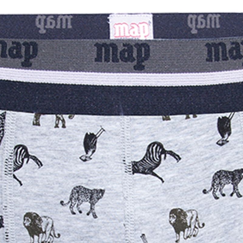 Pack 2 boxers Map 3208 ZOO