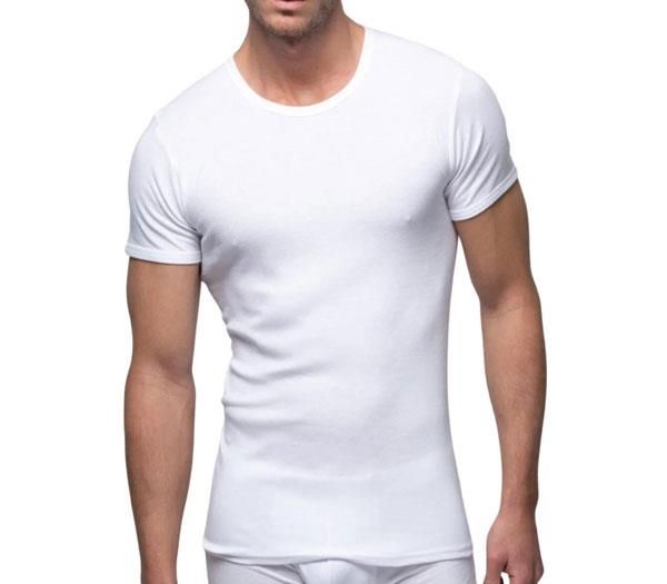 Camiseta Abanderado 306