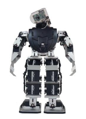 Artificial Intelligence Humanoid