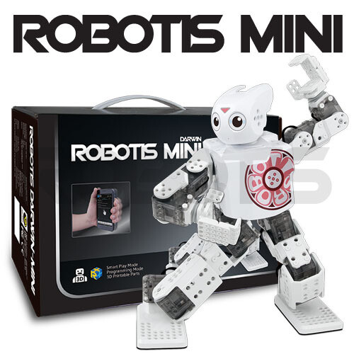 Robotics mini
