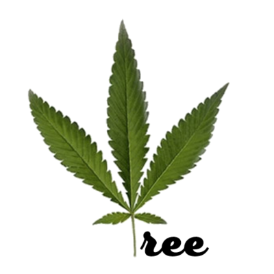 3 Tree Gift Packs