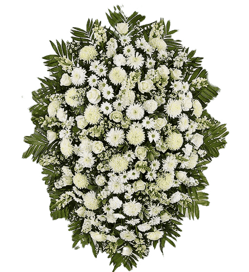 Palma Variada de flores blancas