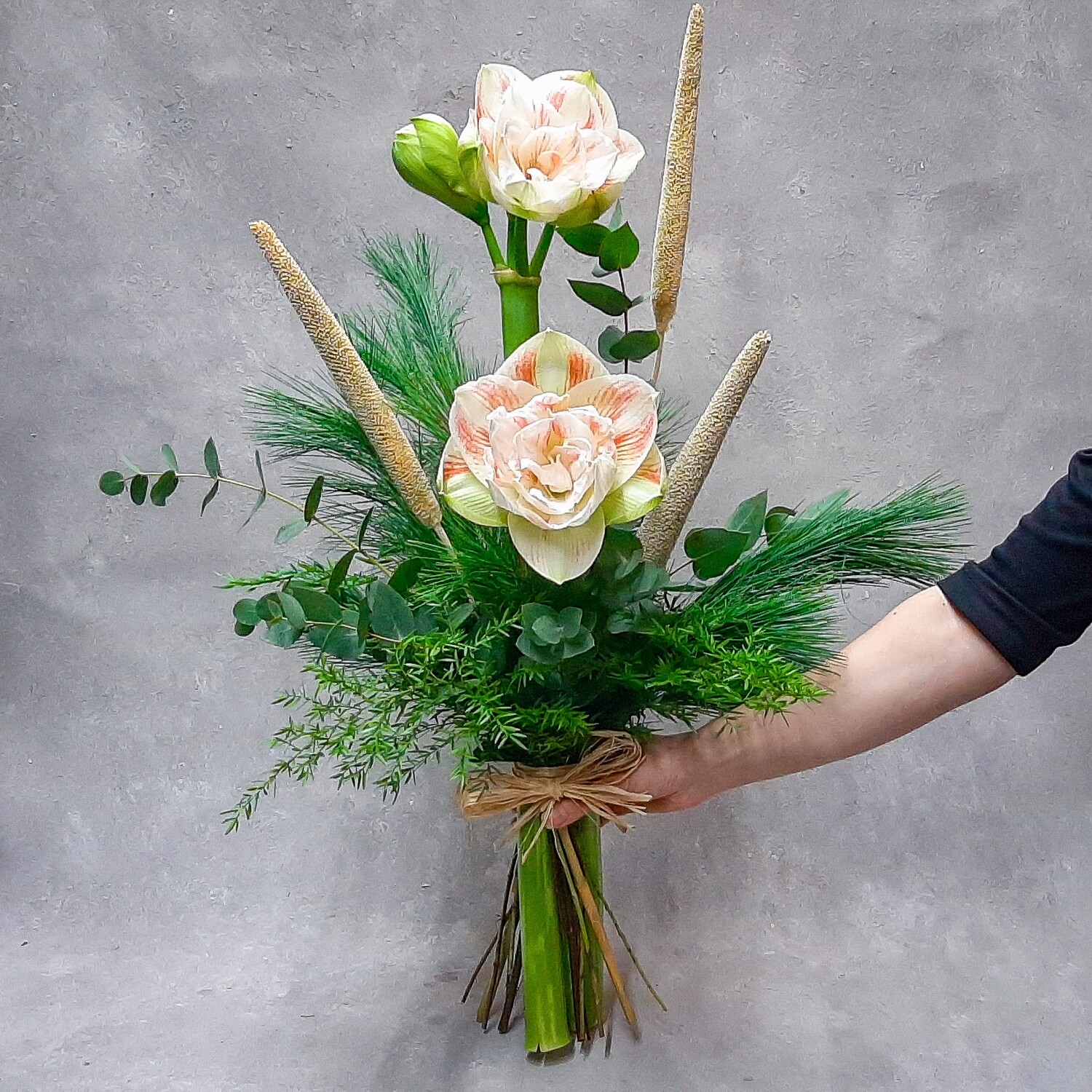 Korkea amarylliskimppu