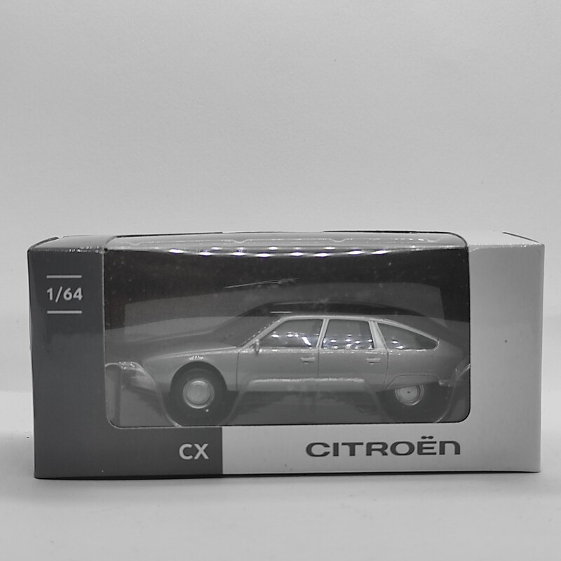 Citroen CX Grise