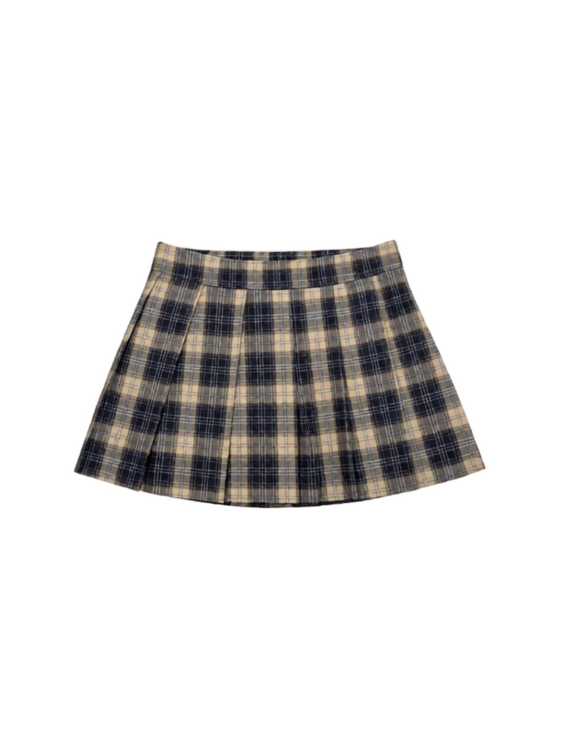 Pleated Skirt