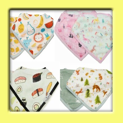 BiBs