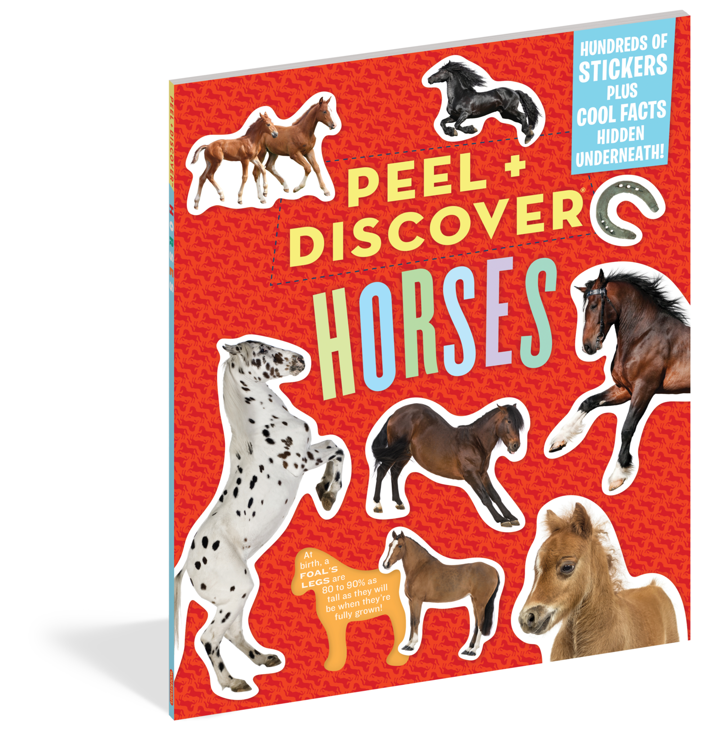 Peel+Discover-Horses*