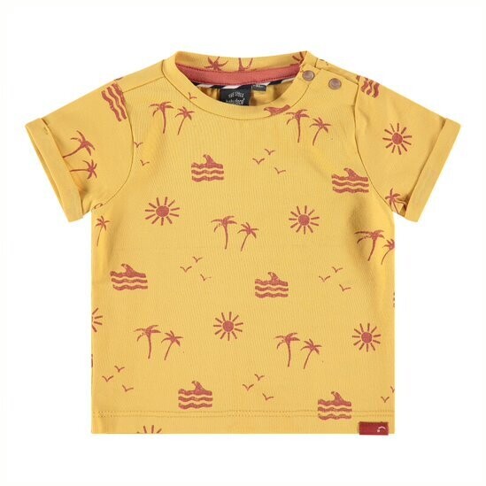 Babyface Baby Boy Organic Sunrise S/S T-Shirt 649