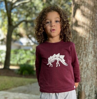 Me &amp; Henry Boys Cherokee Raglan Burgundy Tee 38b*