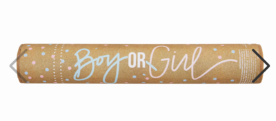 Mud Pie Gender Reveal Confetti Popper Blue*