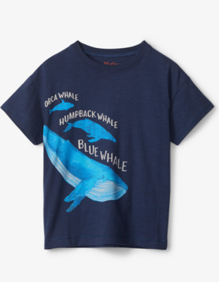 Hatley Boys "These Three Whales" Slouchy Tee 1520