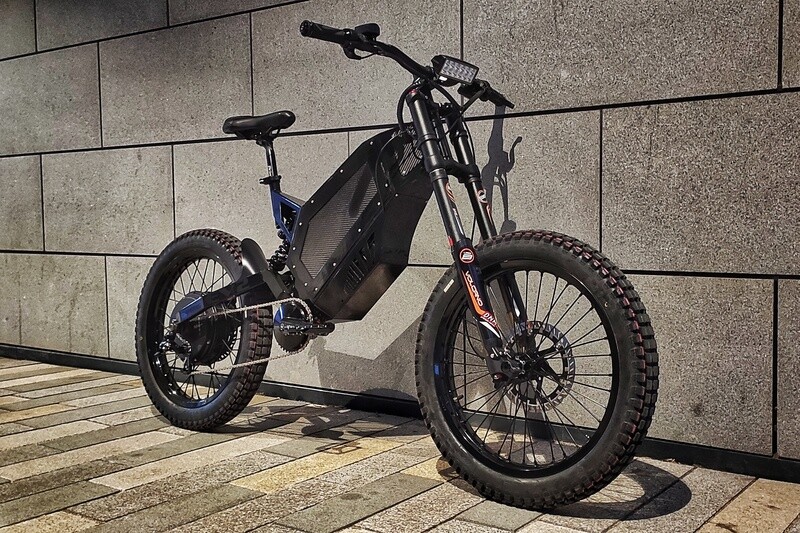 Rino evolution bike price 2025
